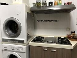 Bayshore Park (D16), Condominium #609109321